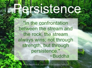 persistence2